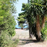 Земельный участок в Греции, 2700 кв.м.