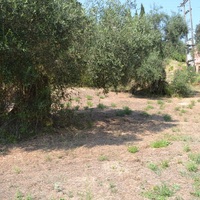 Земельный участок в Греции, 1500 кв.м.