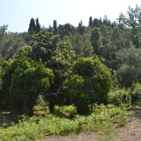 Земельный участок в Греции, 1500 кв.м.