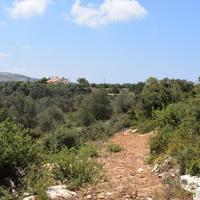 Земельный участок в Греции, 4013 кв.м.