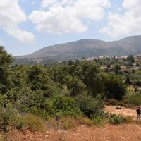 Земельный участок в Греции, 4013 кв.м.