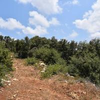 Земельный участок в Греции, 4013 кв.м.