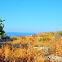 Land plot in Greece, 991 sq.m.