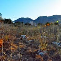 Land plot in Greece, 991 sq.m.