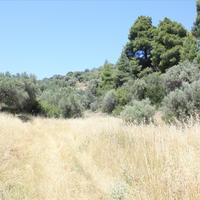 Земельный участок в Греции