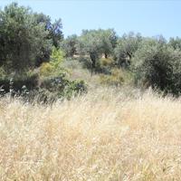 Земельный участок в Греции