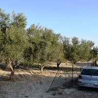 Land plot in Greece, 4000 sq.m.