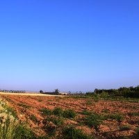 Land plot in Greece, 4000 sq.m.