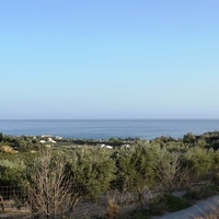 Land plot in Greece, 4000 sq.m.