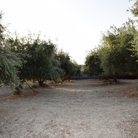 Land plot in Greece, 4800 sq.m.