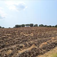 Land plot in Greece