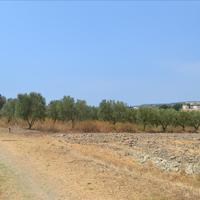 Land plot in Greece