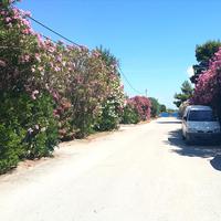 Villa in Greece, 250 sq.m.