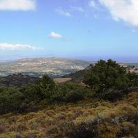 Land plot in Greece, 4000 sq.m.