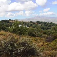 Land plot in Greece, 4000 sq.m.