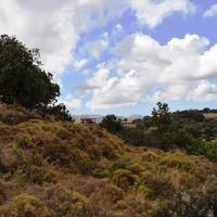 Land plot in Greece, 4000 sq.m.