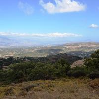 Land plot in Greece, 4000 sq.m.