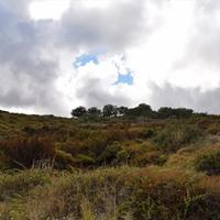 Land plot in Greece, 4000 sq.m.