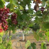 Дом в Болгарии, 130 кв.м.