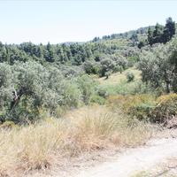 Land plot in Greece
