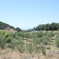 Land plot in Greece