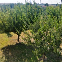 Townhouse in Greece, 100 sq.m.
