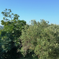 Other in Greece, 65 sq.m.