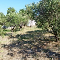 Other in Greece, 65 sq.m.