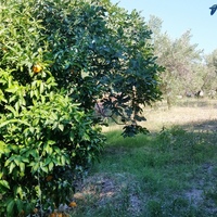 Other in Greece, 65 sq.m.