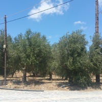 Land plot in Greece, 1091 sq.m.