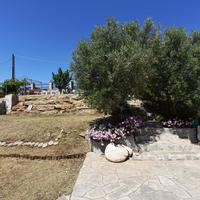 Другое в Греции, 450 кв.м.