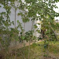 Таунхаус в Греции, 124 кв.м.