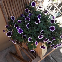 Вилла в Греции, 250 кв.м.