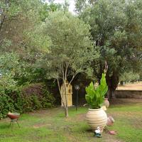 Другое в Греции, 100 кв.м.