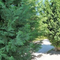 Отель (гостиница) в Греции, 1200 кв.м.