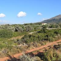 Земельный участок в Греции, 980 кв.м.