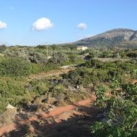 Земельный участок в Греции, 980 кв.м.