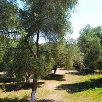 Земельный участок в Греции