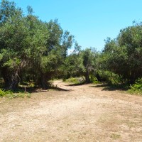 Земельный участок в Греции