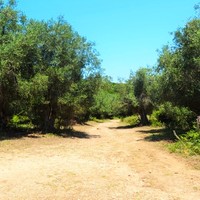 Земельный участок в Греции