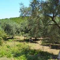 Земельный участок в Греции