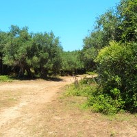 Земельный участок в Греции