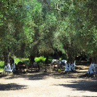 Земельный участок в Греции