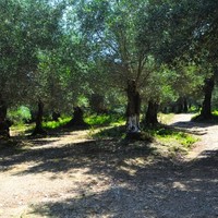 Земельный участок в Греции