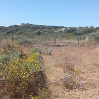 Villa in Greece, 220 sq.m.