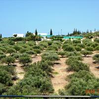 Другое в Греции, 390 кв.м.