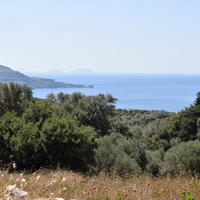 Land plot in Greece, 1000 sq.m.