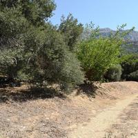 Land plot in Greece, 1000 sq.m.