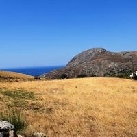 Land plot in Greece, 8000 sq.m.