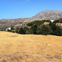 Land plot in Greece, 8000 sq.m.